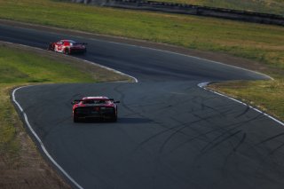 #013 Ferrari 296 GT3 of Marc Muzzo, R. Ferri Motorsport, GT America, SRO3, SRO America, Sonoma Raceway, Sonoma, CA, Mar 27 - 29, 2026
 | Andrew Miterko Photography LLC &copy;2026