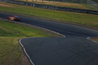#89 Ginetta GTP8 of David Lecko, RacingSupport, GT America, Cup, SRO America, Sonoma Raceway, Sonoma, CA, Mar 27 - 29, 2026
 | Andrew Miterko Photography LLC &copy;2026