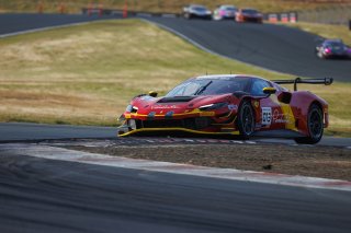 #013 Ferrari 296 GT3 of Marc Muzzo, R. Ferri Motorsport, GT America, SRO3, SRO America, Sonoma Raceway, Sonoma, CA, Mar 27 - 29, 2026
 | Andrew Miterko Photography LLC &copy;2026