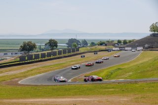 #56 Audi R8 LMS GT3 EVOII of Memo Gidley, SKI AUTOSPORTS, GT America, SRO3, SRO America, Sonoma Raceway, Sonoma, CA, Mar 27 - 29, 2026
 | Andrew Miterko Photography LLC &copy;2026