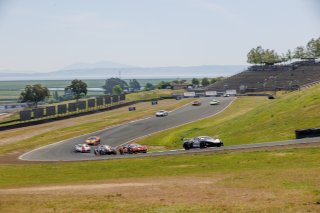 #50 Chevrolet Corvette Z06 GT3.R of Ross Chouest, Chouest Povoledo Racing, GT America, SRO3, SRO America, Sonoma Raceway, Sonoma, CA, Mar 27 - 29, 2026
 | Andrew Miterko Photography LLC &copy;2026