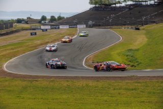 #013 Ferrari 296 GT3 of Marc Muzzo, R. Ferri Motorsport, GT America, SRO3, SRO America, Sonoma Raceway, Sonoma, CA, Mar 27 - 29, 2026
 | Andrew Miterko Photography LLC &copy;2026