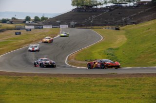 #013 Ferrari 296 GT3 of Marc Muzzo, R. Ferri Motorsport, GT America, SRO3, SRO America, Sonoma Raceway, Sonoma, CA, Mar 27 - 29, 2026
 | Andrew Miterko Photography LLC &copy;2026