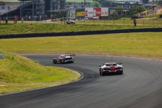#19 Porsche 911 GT3-R (992) of Joel Cortes, RS1, GT America, SRO3, SRO America, Sonoma Raceway, Sonoma, CA, Mar 27 - 29, 2026
 | Andrew Miterko Photography LLC &copy;2026