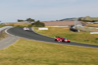 #56 Audi R8 LMS GT3 EVOII of Memo Gidley, SKI AUTOSPORTS, GT America, SRO3, SRO America, Sonoma Raceway, Sonoma, CA, Mar 27 - 29, 2026
 | Andrew Miterko Photography LLC &copy;2026