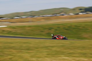 #19 Porsche 911 GT3-R (992) of Joel Cortes, RS1, GT America, SRO3, SRO America, Sonoma Raceway, Sonoma, CA, Mar 27 - 29, 2026
 | Andrew Miterko Photography LLC &copy;2026