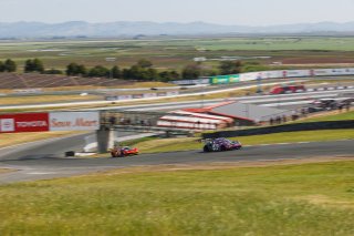 #72 Porsche 911 GT3-R (992) of Dave Musial Sr., Wright Motorsports, GT America, SRO3, SRO America, Sonoma Raceway, Sonoma, CA, Mar 27 - 29, 2026
 | Andrew Miterko Photography LLC &copy;2026
