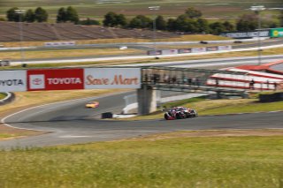 #19 Porsche 911 GT3-R (992) of Joel Cortes, RS1, GT America, SRO3, SRO America, Sonoma Raceway, Sonoma, CA, Mar 27 - 29, 2026
 | Andrew Miterko Photography LLC &copy;2026