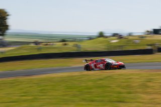 #56 Audi R8 LMS GT3 EVOII of Memo Gidley, SKI AUTOSPORTS, GT America, SRO3, SRO America, Sonoma Raceway, Sonoma, CA, Mar 27 - 29, 2026
 | Andrew Miterko Photography LLC &copy;2026