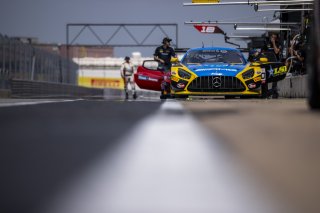 #80 Mercedes-AMG GT3 EVO of Dan Knox, Lone Star Racing, GT America, SRO3, SRO America, Circuit of The Americas, Austin, TX, Apr 24 - 26, 2026
 | Andrew Miterko Photography LLC &copy;2026
