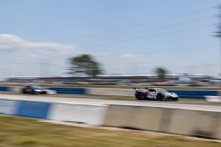 #50 Chevrolet Corvette Z06 GT3.R of Ross Chouest, Chouest Povoledo Racing, GT America, SRO3, SRO America, Sebring International Raceway, Sebring, FL, May 7 - 10, 2026
 | Andrew Miterko Photography LLC &copy;2026