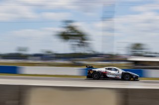 #50 Chevrolet Corvette Z06 GT3.R of Ross Chouest, Chouest Povoledo Racing, GT America, SRO3, SRO America, Sebring International Raceway, Sebring, FL, May 7 - 10, 2026
 | Andrew Miterko Photography LLC &copy;2026