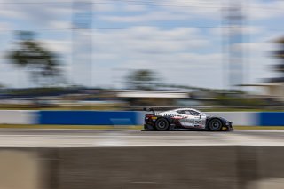 #50 Chevrolet Corvette Z06 GT3.R of Ross Chouest, Chouest Povoledo Racing, GT America, SRO3, SRO America, Sebring International Raceway, Sebring, FL, May 7 - 10, 2026
 | Andrew Miterko Photography LLC &copy;2026