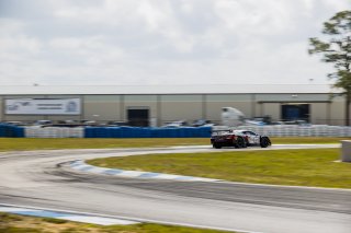 #50 Chevrolet Corvette Z06 GT3.R of Ross Chouest, Chouest Povoledo Racing, GT America, SRO3, SRO America, Sebring International Raceway, Sebring, FL, May 7 - 10, 2026
 | Andrew Miterko Photography LLC &copy;2026