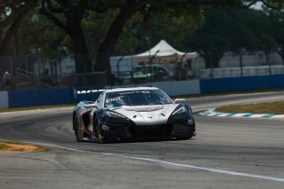#50 Chevrolet Corvette Z06 GT3.R of Ross Chouest, Chouest Povoledo Racing, GT America, SRO3, SRO America, Sebring International Raceway, Sebring, FL, May 7 - 10, 2026
 | Andrew Miterko Photography LLC &copy;2026