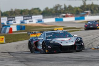 #50 Chevrolet Corvette Z06 GT3.R of Ross Chouest, Chouest Povoledo Racing, GT America, SRO3, SRO America, Sebring International Raceway, Sebring, FL, May 7 - 10, 2026
 | Andrew Miterko Photography LLC &copy;2026