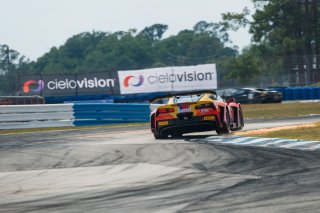 #70 Callaway Corvette C7 GT3-R of Mirco Schultis, MISHUMOTORS, GT America, SRO3, SRO America, Sebring International Raceway, Sebring, FL, May 7 - 10, 2026
 | Andrew Miterko Photography LLC &copy;2026