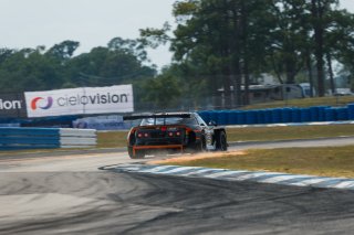 #62 Ginetta G56 GT2 of Lawrence Tomlinson, Dollahite Racing, GT America, GT2, SRO America, Sebring International Raceway, Sebring, FL, May 7 - 10, 2026
 | Andrew Miterko Photography LLC &copy;2026