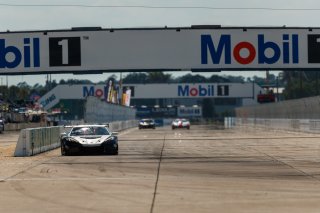 #50 Chevrolet Corvette Z06 GT3.R of Ross Chouest, Chouest Povoledo Racing, GT America, SRO3, SRO America, Sebring International Raceway, Sebring, FL, May 7 - 10, 2026
 | Andrew Miterko Photography LLC &copy;2026
