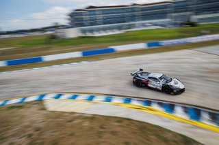 #50 Chevrolet Corvette Z06 GT3.R of Ross Chouest, Chouest Povoledo Racing, GT America, SRO3, SRO America, Sebring International Raceway, Sebring, FL, May 7 - 10, 2026
 | Andrew Miterko Photography LLC &copy;2026
