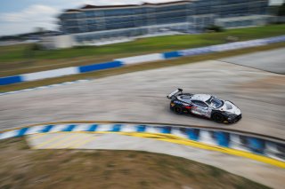 #50 Chevrolet Corvette Z06 GT3.R of Ross Chouest, Chouest Povoledo Racing, GT America, SRO3, SRO America, Sebring International Raceway, Sebring, FL, May 7 - 10, 2026
 | Andrew Miterko Photography LLC &copy;2026