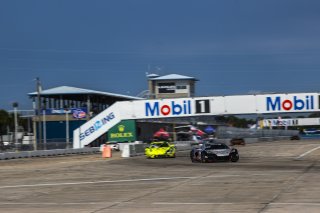 #50 Chevrolet Corvette Z06 GT3.R of Ross Chouest, Chouest Povoledo Racing, GT America, SRO3, SRO America, Sebring International Raceway, Sebring, FL, May 7 - 10, 2026
 | Andrew Miterko Photography LLC &copy;2026
