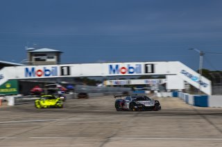#50 Chevrolet Corvette Z06 GT3.R of Ross Chouest, Chouest Povoledo Racing, GT America, SRO3, SRO America, Sebring International Raceway, Sebring, FL, May 7 - 10, 2026
 | Andrew Miterko Photography LLC &copy;2026
