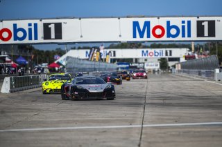#50 Chevrolet Corvette Z06 GT3.R of Ross Chouest, Chouest Povoledo Racing, GT America, SRO3, SRO America, Sebring International Raceway, Sebring, FL, May 7 - 10, 2026
 | Andrew Miterko Photography LLC &copy;2026