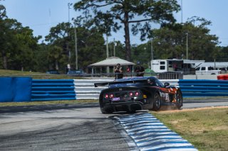 #8 Ginetta GTP8 of Corey Deeds, 5.2 Motorsports, GT America, Cup, SRO America, Sebring International Raceway, Sebring, FL, May 7 - 10, 2026
 | Andrew Miterko Photography LLC &copy;2026