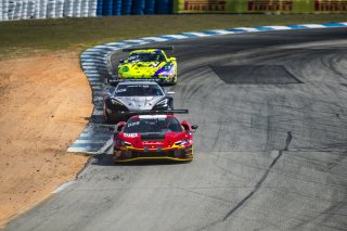 #013 Ferrari 296 GT3 of Marc Muzzo, R. Ferri Motorsport, GT America, SRO3, SRO America, Sebring International Raceway, Sebring, FL, May 7 - 10, 2026
 | Andrew Miterko Photography LLC &copy;2026