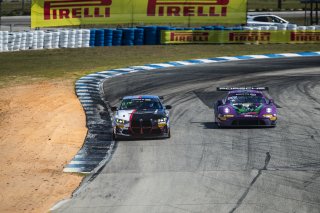 #610 BMW M4 GT4 (G82) EVO of Craig Lumsden, Flying Lizard Motorsports, GT America, GT4, SRO America, Sebring International Raceway, Sebring, FL, May 7 - 10, 2026
 | Andrew Miterko Photography LLC &copy;2026