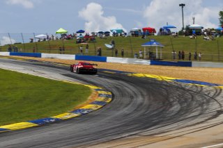 #56 Audi R8 LMS GT3 EVOII of Memo Gidley, SKI AUTOSPORTS, GT America, SRO3, SRO America, Road Atlanta, Braselton, GA, June 12 - 14, 2026
 | Andrew Miterko Photography LLC &copy;2026
