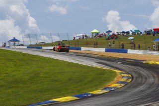 #013 Ferrari 296 GT3 of Marc Muzzo, R. Ferri Motorsport, GT America, SRO3, SRO America, Road Atlanta, Braselton, GA, June 12 - 14, 2026
 | Andrew Miterko Photography LLC &copy;2026