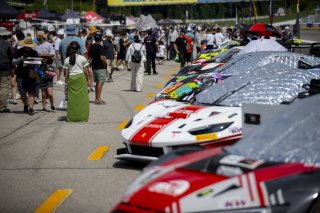 Grid Walk, GT America, SRO3, SRO America, Road Atlanta, Braselton, GA, June 12 - 14, 2026
 | Andrew Miterko Photography LLC &copy;2026
