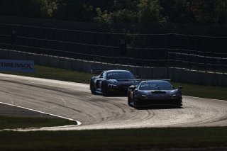 #013 Ferrari 296 GT3 of Marc Muzzo, R. Ferri Motorsport, GT America, SRO3, SRO America, Road America, Elkhart Lake, WI, Aug 27 - 30, 2026
 | Andrew Miterko Photography LLC &copy;2026