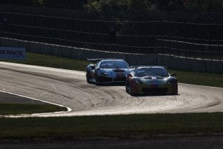 #70 Callaway Corvette C7 GT3-R of Mirco Schultis, MISHUMOTORS, GT America, SRO3, #04 Ferrari 296 GT3 of Tony Davis, HP-TECH Motorsport, SRO America, Road America, Elkhart Lake, WI, Aug 27 - 30, 2026
 | Andrew Miterko Photography LLC &copy;2026