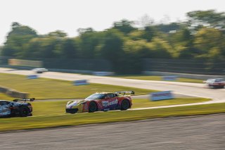 #70 Callaway Corvette C7 GT3-R of Mirco Schultis, MISHUMOTORS, GT America, SRO3, SRO America, Road America, Elkhart Lake, WI, Aug 27 - 30, 2026
 | Andrew Miterko Photography LLC &copy;2026