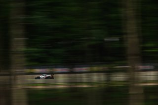 #50 Chevrolet Corvette Z06 GT3.R of Ross Chouest, Chouest Povoledo Racing, GT America, SRO3, SRO America, Road America, Elkhart Lake, WI, Aug 27 - 30, 2026
 | Andrew Miterko Photography LLC &copy;2026
