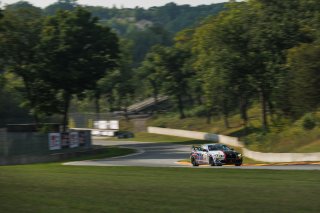 #610 BMW M4 GT4 (G82) EVO of Craig Lumsden, Colorado Motorsport with Flying Lizard, GT America, GT4, SRO America, Road America, Elkhart Lake, WI, Aug 27 - 30, 2026
 | Andrew Miterko Photography LLC &copy;2026