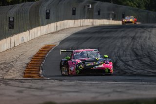 #13 Porsche 911 GT3-R (992) EVO of Todd Parriott, Kellymoss, GT America, SRO3, SRO America, Road America, Elkhart Lake, WI, Aug 27 - 30, 2026
 | SRO Motorsports Group