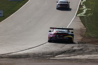 #13 Porsche 911 GT3-R (992) EVO of Todd Parriott, Kellymoss, GT America, SRO3, SRO America, Road America, Elkhart Lake, WI, Aug 27 - 30, 2026
 | SRO Motorsports Group