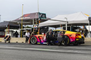 #70 Callaway Corvette C7 GT3-R of Mirco Schultis, MISHUMOTORS, GT America, SRO3, SRO America, Road America, Elkhart Lake, WI, Aug 27 - 30, 2026
 | Andrew Miterko Photography LLC &copy;2026