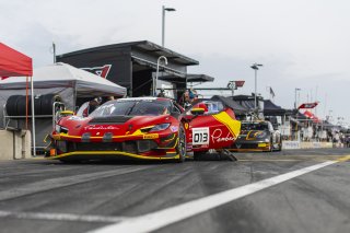 #013 Ferrari 296 GT3 of Marc Muzzo, R. Ferri Motorsport, GT America, SRO3, SRO America, Road America, Elkhart Lake, WI, Aug 27 - 30, 2026
 | Andrew Miterko Photography LLC &copy;2026