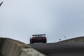 #50 Chevrolet Corvette Z06 GT3.R of Ross Chouest, Chouest Povoledo Racing, GT America, SRO3, SRO America, Road America, Elkhart Lake, WI, Aug 27 - 30, 2026
 | Andrew Miterko Photography LLC 2026
apmiterkophoto@gmail.com