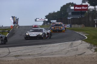 #50 Chevrolet Corvette Z06 GT3.R of Ross Chouest, Chouest Povoledo Racing, GT America, SRO3, SRO America, Road America, Elkhart Lake, WI, Aug 27 - 30, 2026
 | Andrew Miterko Photography LLC 2026