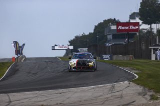 #610 BMW M4 GT4 (G82) EVO of Craig Lumsden, Colorado Motorsport with Flying Lizard, GT America, GT4, SRO America, Road America, Elkhart Lake, WI, Aug 27 - 30, 2026
 | Andrew Miterko Photography LLC 2026