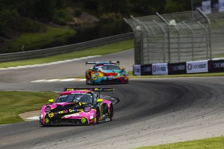 #13 Porsche 911 GT3-R (992) EVO of Todd Parriott, Kellymoss, GT America, SRO3, SRO America, Barber Motorsport Park, Leeds, AL, Sept 24 - 27, 2026
 | Andrew Miterko Photography LLC &copy;2026
