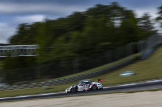 #88 Porsche 911 GT3-R (992) EVO of John Gilliland, Kellymoss, GT America, SRO3, SRO America, Barber Motorsport Park, Leeds, AL, Sept 24 - 27, 2026
 | Andrew Miterko Photography LLC &copy;2026