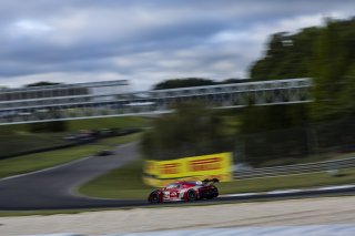 #56 Audi R8 LMS GT3 EVOII of Memo Gidley, SKI AUTOSPORTS, GT America, SRO3, SRO America, Barber Motorsport Park, Leeds, AL, Sept 24 - 27, 2026
 | Andrew Miterko Photography LLC &copy;2026