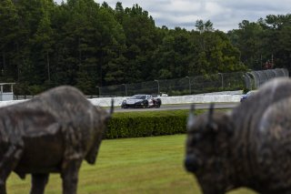 #50 Chevrolet Corvette Z06 GT3.R of Ross Chouest, Chouest Povoledo Racing, GT America, SRO3, SRO America, Barber Motorsport Park, Leeds, AL, Sept 24 - 27, 2026
 | Andrew Miterko Photography LLC &copy;2026